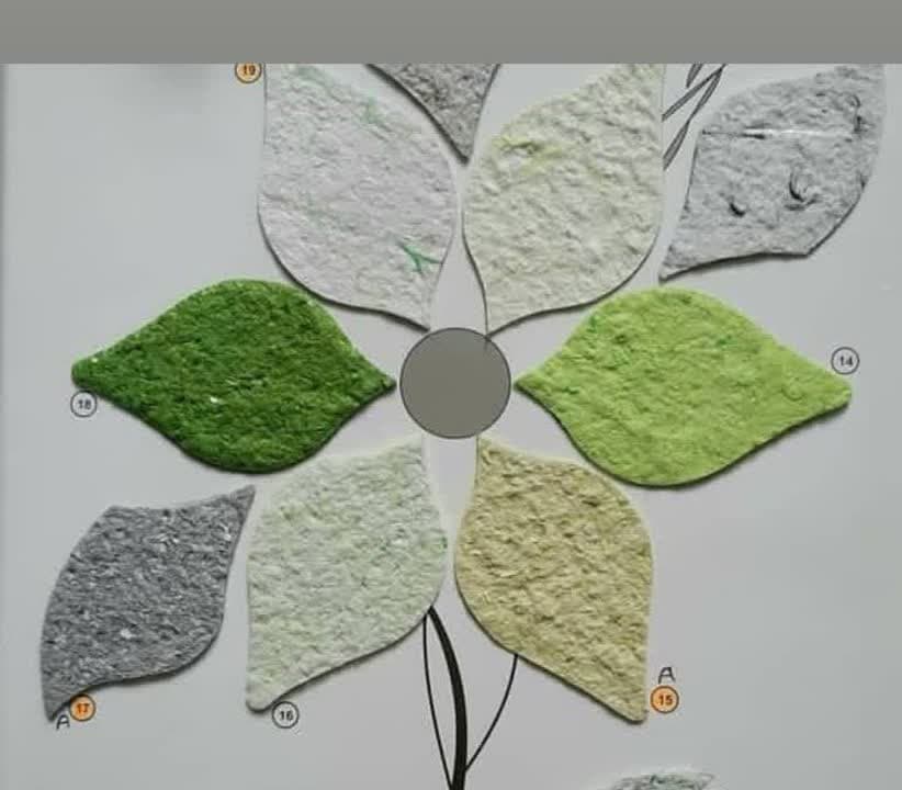 نمونه انواع رنگ بلکا نما