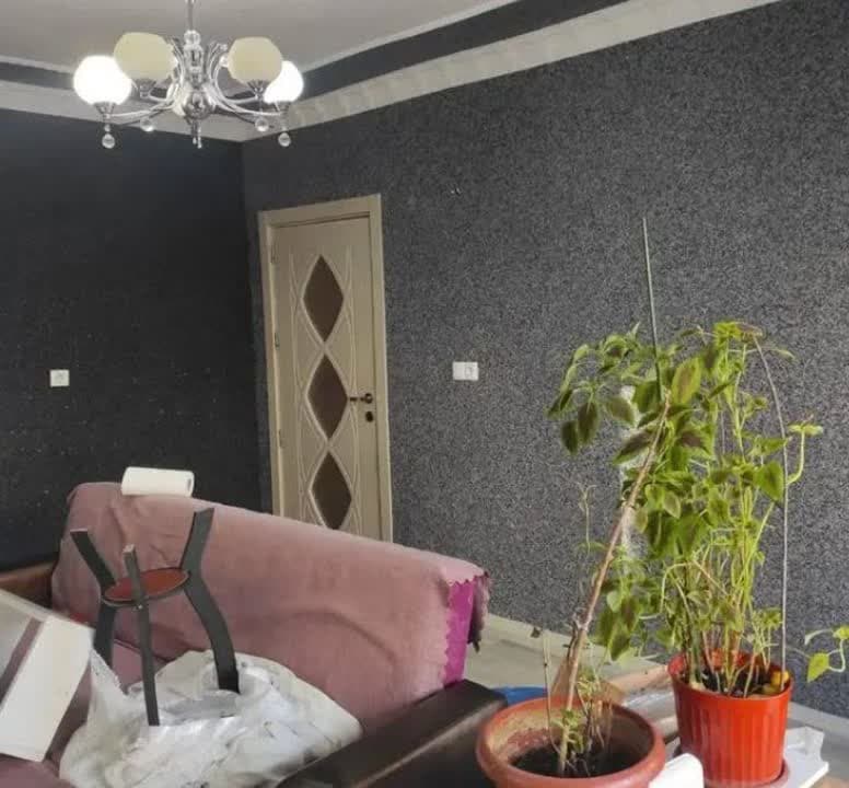اجرای بلکا در جمهوری